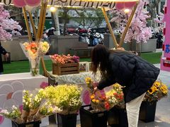 -金茂览秀城