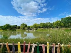 -嘉北郊野公园