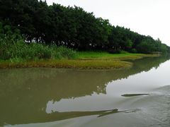 景点-大湾区中央湿地公园