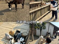 -乌村