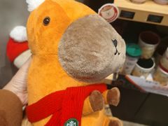 -星巴克(成都太古里二店)