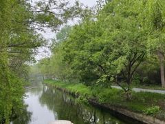 -渡海小渔村.老辈日照菜