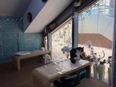 -ChaKo Flora ·茶子花艺 (市北店)