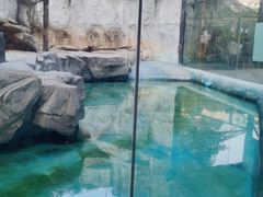 -灵玲国际马戏城