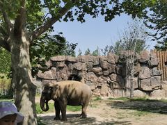 -济南野生动物世界