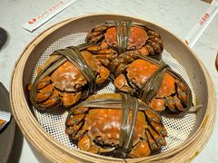 -杨氏青龙虾·羊蝎子(金盛路总店)