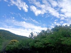 -北京西山国家森林公园