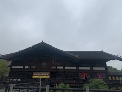 -大唐贡茶院