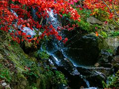 -九如山休闲旅游度假区
