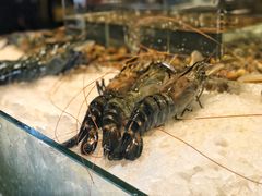 -Ministry of Crab(科伦坡店)