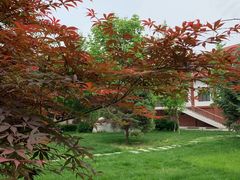 -中国政法大学(昌平校区)
