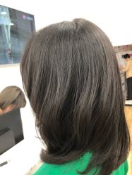 -YESIDO椰岛造型