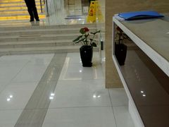 -上海仁爱医院