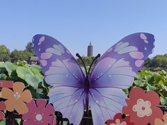 -西海子公园
