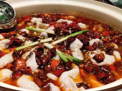 -青花椒花椒鱼(合生汇店)