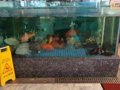 -聚福宝合苑食府(南头镇店)