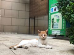 -fishtank鱼缸咖啡(三山街店)
