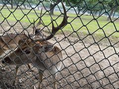 -西安秦岭野生动物园
