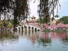 -宝墨园景区
