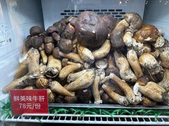 -太婆天府山珍酒楼(亚运村店)