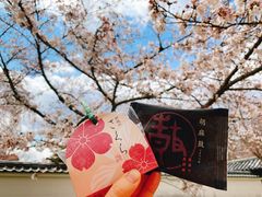 -醍醐寺