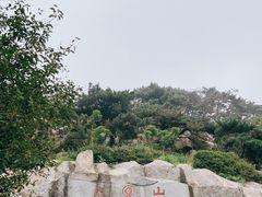 -泰山风景名胜区