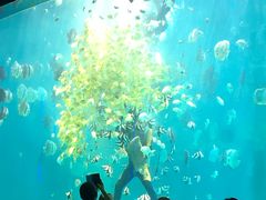 -瑞德姆美人鱼海底演艺主题餐厅(亚龙湾店)