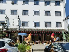 -头上红煨盐鸡·非遗院子餐厅