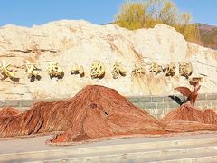 -北京西山国家森林公园