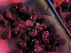 -令狐冲·炭烤活鱼(宝龙店)