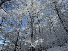 -崂山巨峰游览区