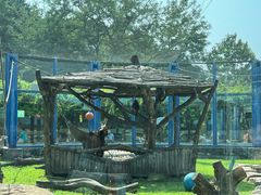 -大连森林动物园