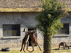 -南京金牛湖风景区