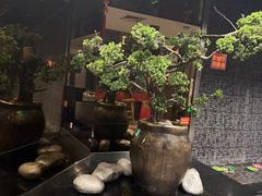 -西北人家莜面村(建设店)