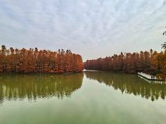 -上海海湾国家森林公园