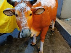 -林记潮牛·牛肉火锅(上马墩店)