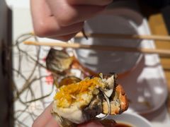 -杨氏青龙虾·羊蝎子(托乐嘉店)
