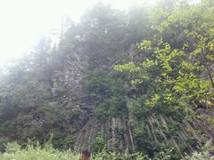 android_upload_pic-望天鹅景区