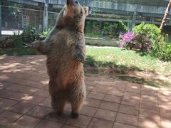 -昆明动物园