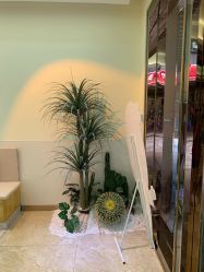 -EC BEAUTY易思美容