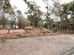 -清迈夜间动物园