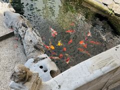 -荣府宴(南阳路店)