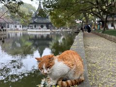 -西园戒幢律寺