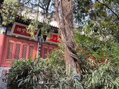 -兴教寺