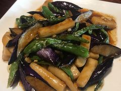 -四季春