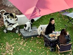 -J Create城市露营咖啡·简餐·宠物(上海动物园店)