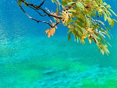 -叠溪松坪沟景区