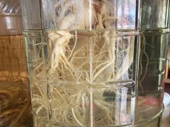 -山妹子铁锅炖