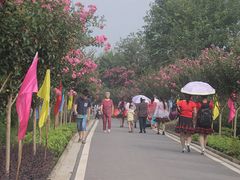 -武汉紫薇都市田园