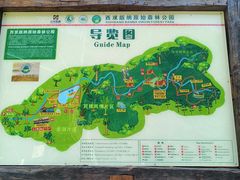 -西双版纳原始森林公园